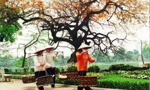 HALONG 1 DAY TRIP(6 hour on boat)